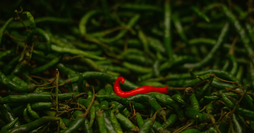 One red pepper amongst many green ones